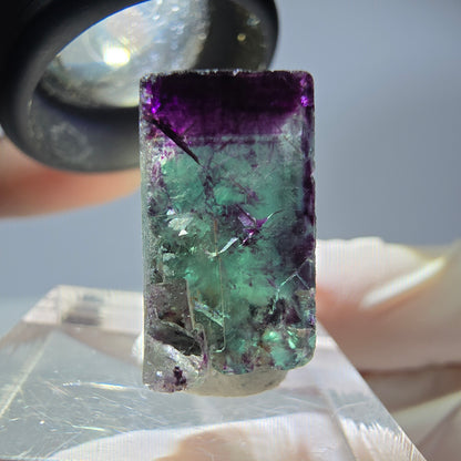 Rare cube de fluorite fantôme parqueté vert violet Okorusu Namibie 24*20*10mm 