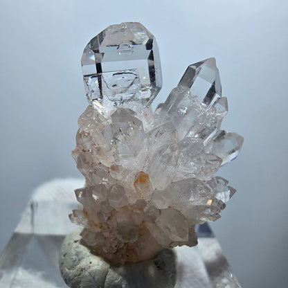 Clear Phantom Smoky Quartz Scepter Cluster Goboboseb, Namibia 26*19*13mm 