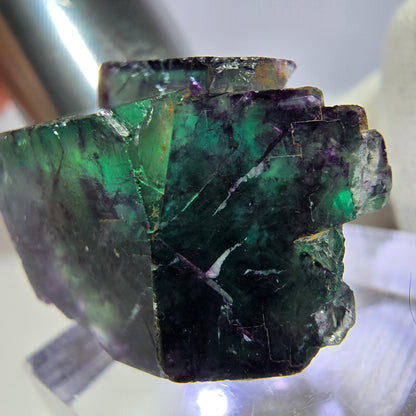 Rare spécimen de cube de fluorite fantôme, vert-violet zonal, Okorusu, Namibie, 26 x 21 x 18 mm 