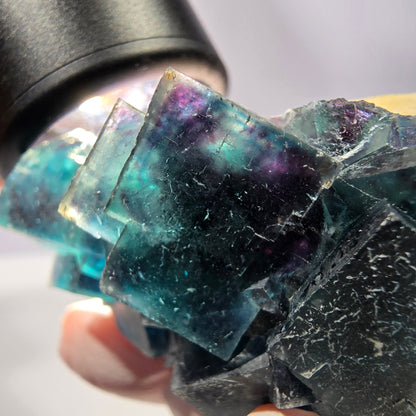 Rare spécimen de cube de fluorite fantôme, poche papillon, Okorusu, Namibie, 51 x 39 x 24 mm