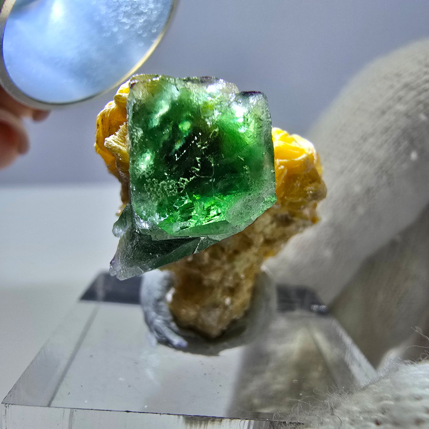 Cube de fluorite fantôme, spécimen de muscovite, Erongo, Namibie, 24 x 20 x 17 mm 