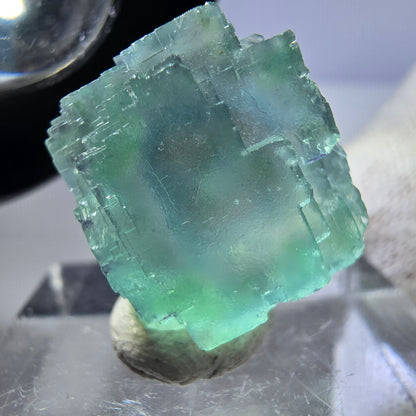 Seltener Phantom Fluorit Würfel, grün parkettiert Okorusu, Namibia 20*18*12mm