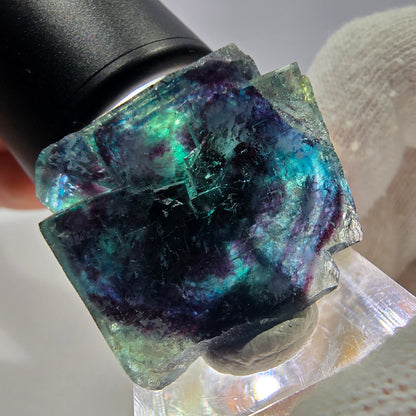 Spécimen de cube de fluorite fantôme, zonal – Nouvelle découverte ! Okorusu, Namibie, 33 x 31 x 21 mm 