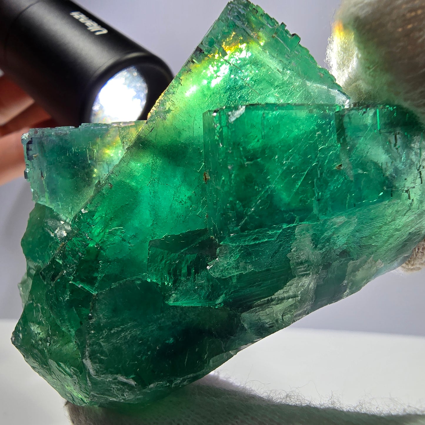 Grand spécimen de cube de fluorite fantôme, parqueté vert Okorusu, Namibie, 69 x 46 x 32 mm 