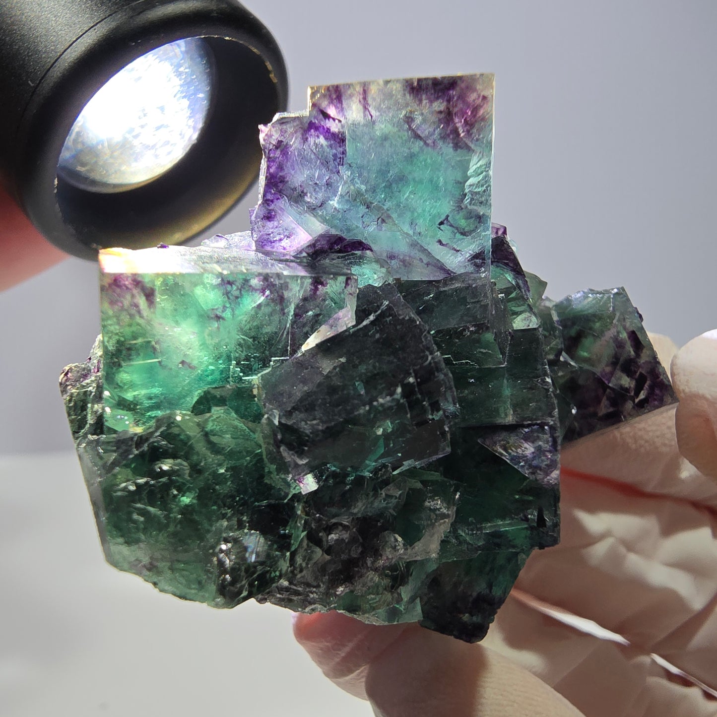 Spécimen de cube de fluorite fantôme, parqueté vert violet Okorusu, Namibie 51*39*24 mm 
