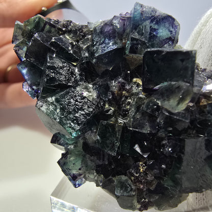 Clear Phantom Fluorite Cube Specimen zonal green purple Okorusu, Namibia 60*39*24mm 
