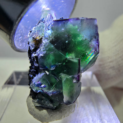 Cube de fluorite fantôme zonal, tourmaline muscovite Schörl hyalite Erongo, Namibie 21 x 15 x 15 mm 