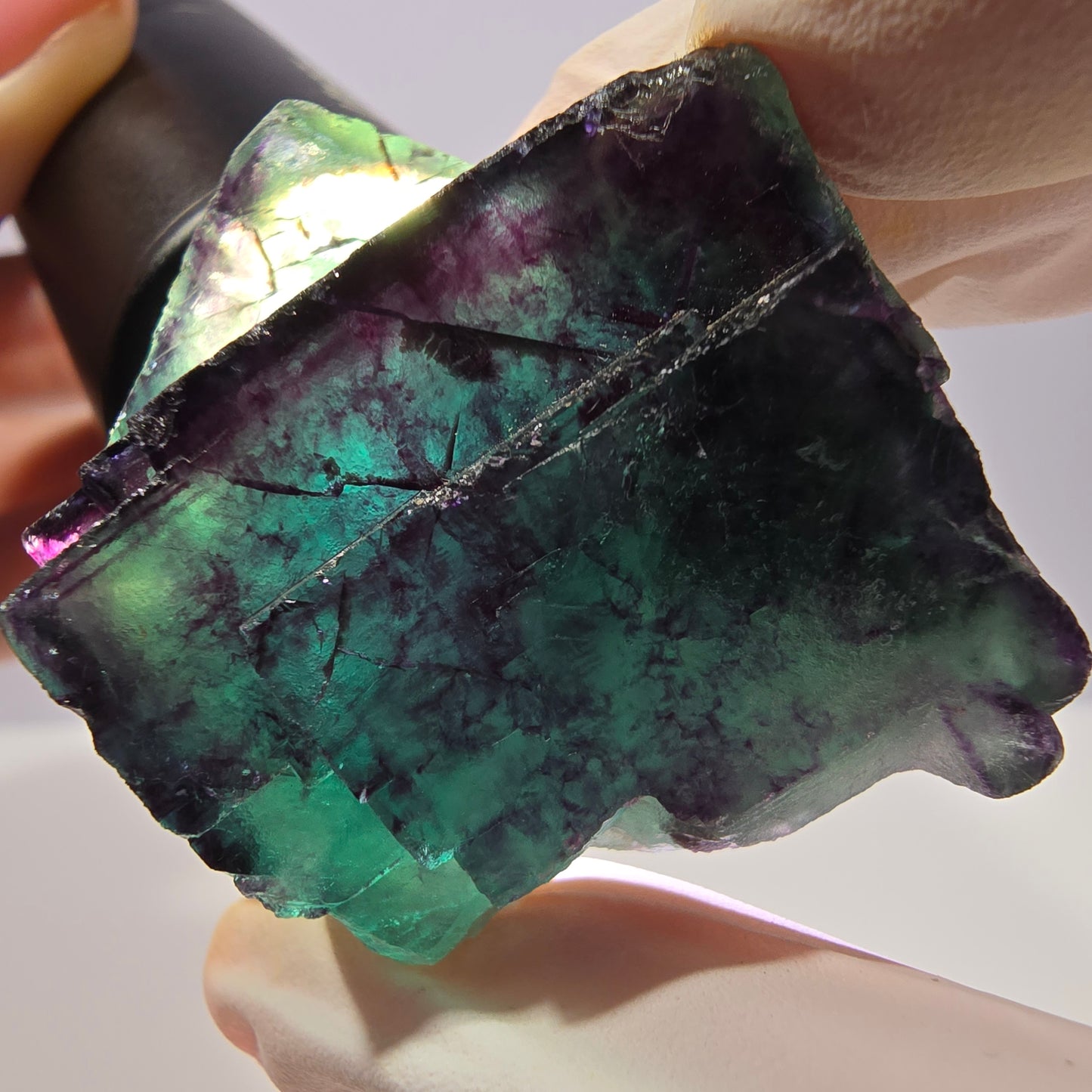Spécimen de cube de fluorite fantôme, parqueté vert violet Okorusu, Namibie 41*41*25 mm 