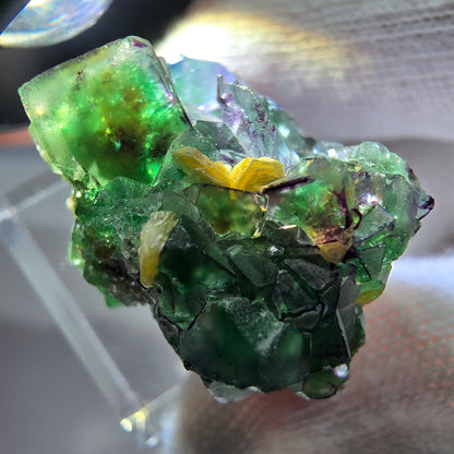 Spécimen de cube de fluorite fantôme zonal, de muscovite et de tourmaline Schorl, Erongo, Namibie, 27 x 25 x 24 mm 