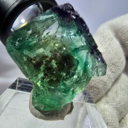 Rare spécimen de cube de fluorite fantôme, vert-violet zonal, Okorusu, Namibie, 26 x 21 x 18 mm 