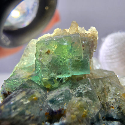 Cube de fluorite fantôme zonal, spécimen d'orthose, Erongo, Namibie, 62 x 45 x 30 mm 