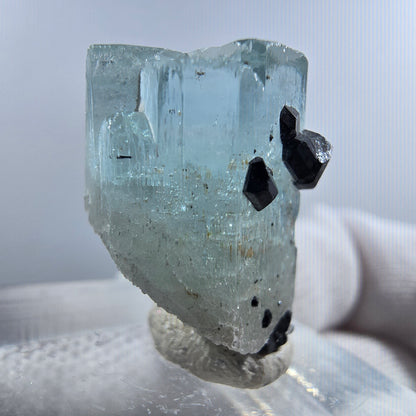 Aigue-marine Setlene, tourmaline Schörl stade Erongo, Namibie 21*15*14mm 