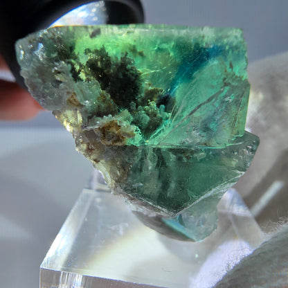 Spécimen de cube de fluorite fantôme très clair, vert turquoise Okorusu, Namibie 35*32*21mm 