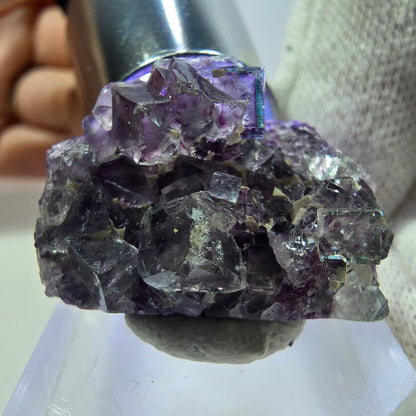 Spécimen de cube de fluorite fantôme transparente, vert-violet zonal, Okorusu, Namibie, 27 x 20 x 12 mm 