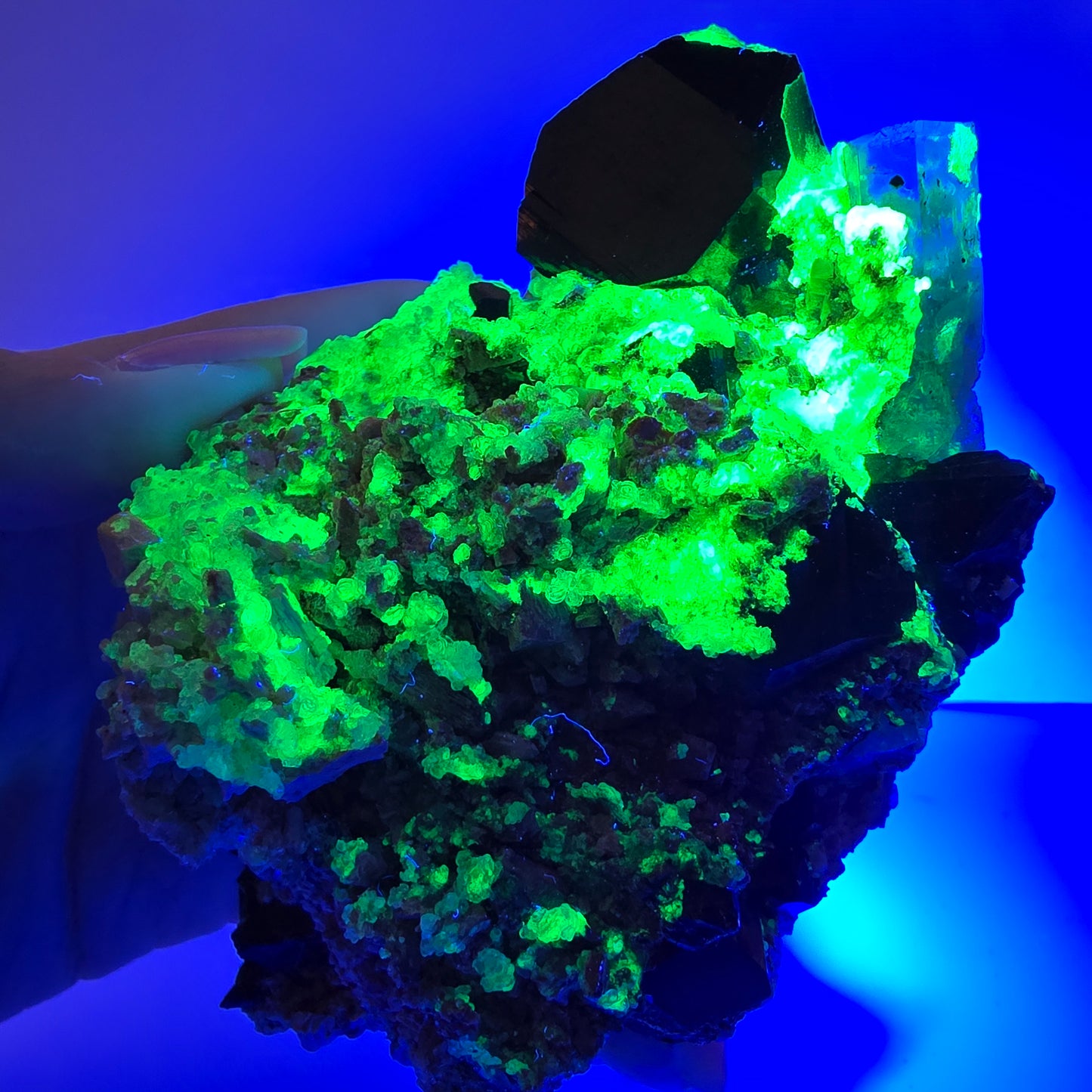 Grand spécimen d'aigue-marine, de tourmaline schorl, d'hyalite et d'orthose, Erongo, Namibie, 107 x 70 x 45 mm 