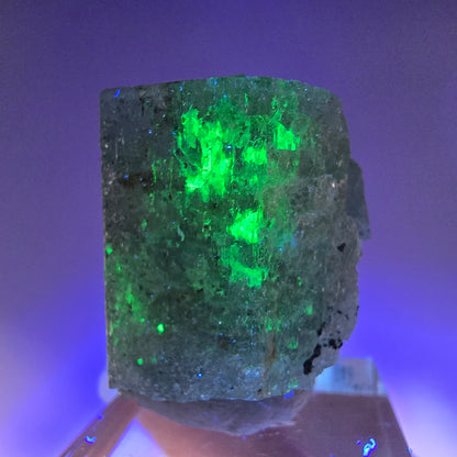 Seltener Aquamarin X mit Hyalit Einschlüssen Erongo, Namibia 30*29*24mm
