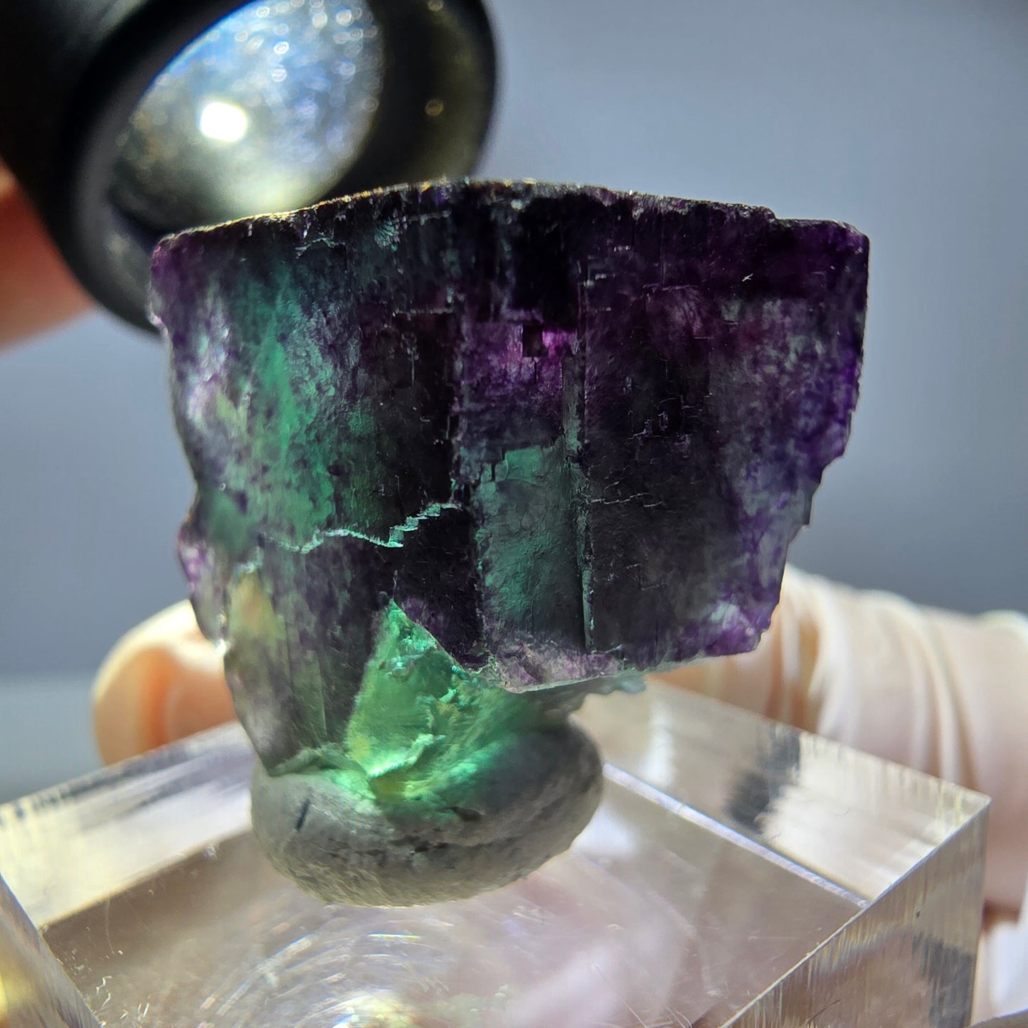 Rare cube de fluorite fantôme parqueté vert violet Okorusu Namibie 23*22*22mm 