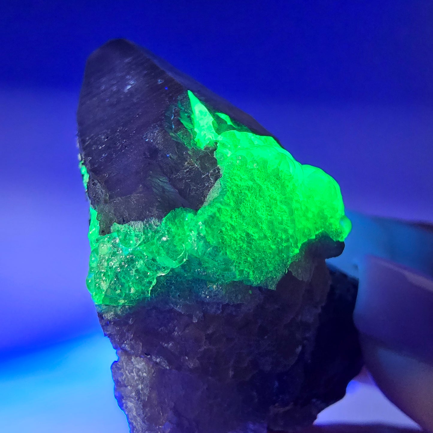 Lemurain Skelett Rauchquarz, Schörl Turmalin, Hyalit Erongo, Namibia 51*38*24mm
