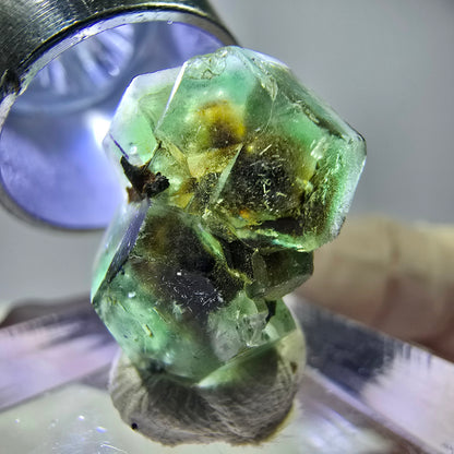 Cube hexagonal de fluorite fantôme, tourmaline Schorl d'Erongo, Namibie 17 x 13 x 12 mm 
