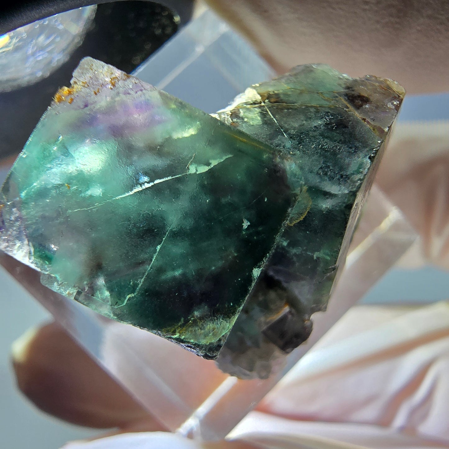 Spécimen de cube de fluorite fantôme, parqueté vert violet Okorusu, Namibie 25*24*16 mm 