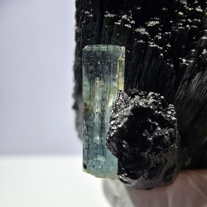 Spécimen rare de tourmaline Schorl, d'aigue-marine, d'hyalite et d'orthose, Erongo, Namibie, 38 x 39 x 21 mm 