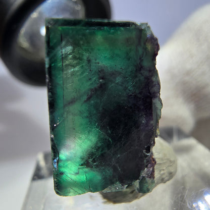 Spécimen rare de cube de fluorite fantôme, vert zonal et violet, Okorusu, Namibie, 24 x 23 x 11 mm 