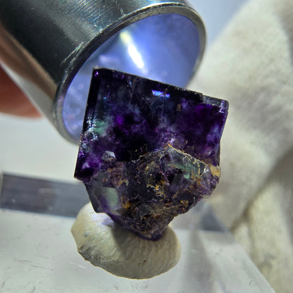 Spécimen de cube de fluorite fantôme transparente, vert-violet zonal, Okorusu, Namibie, 16 x 16 x 15 mm 