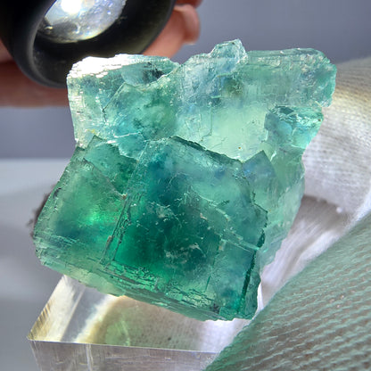 Spécimen de cube de fluorite fantôme parqueté vert turquoise Okorusu, Namibie 41*35*22mm 