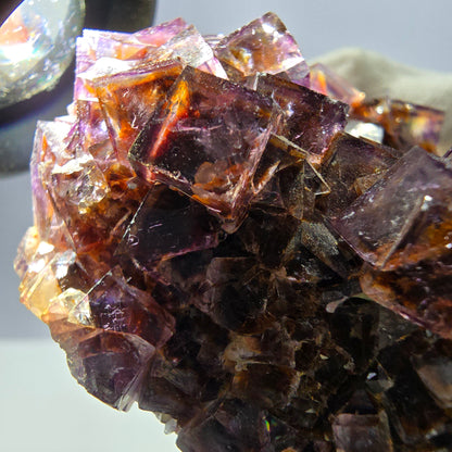 Rare spécimen de cube de fluorite fantôme, violet jaune Okorusu Namibie 63*59*34mm 