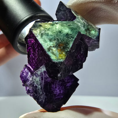 Spécimen de cube de fluorite fantôme vert violet zonal 11:11 Angel Pocket, Namibie 45*32*17mm 