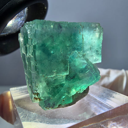 Spécimen de cube de fluorite fantôme, parquet vert Okorusu, Namibie 22 x 21 x 16 mm 