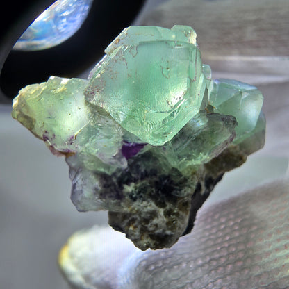 Spécimen de cube de fluorite fantôme zonal, de muscovite et de tourmaline Schorl, Erongo, Namibie, 30 x 22 x 20 mm 