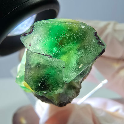 Cube de fluorite fantôme, zonal, spécimen de muscovite, Erongo, Namibie, 29 x 22 x 20 mm 