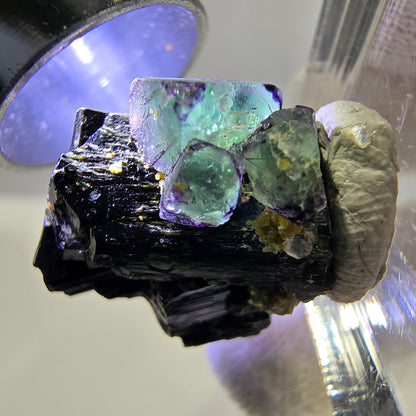 Spécimen de cube de fluorite fantôme zonal, de muscovite et de tourmaline Schorl, Erongo, Namibie, 20 x 19 x 13 mm 