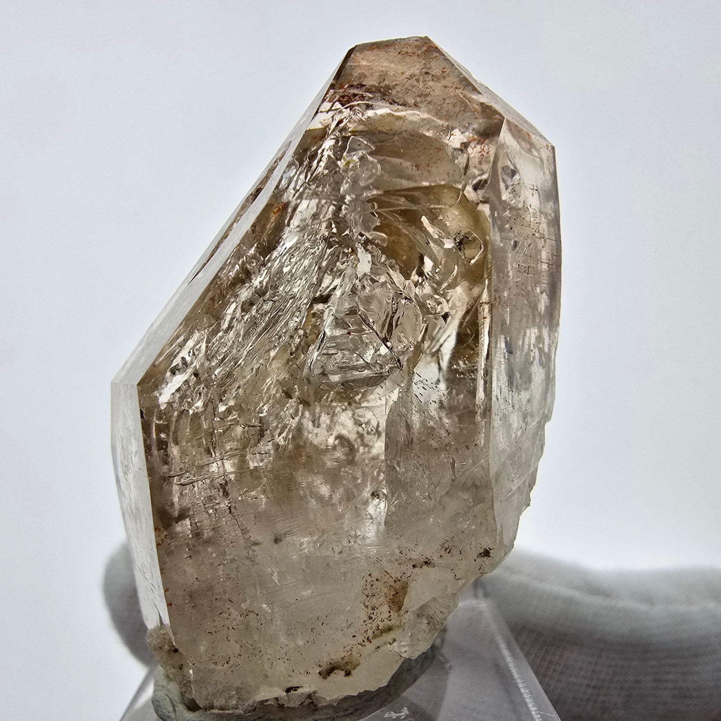 Enhydro Phantom Rauchquarz Zepter Spitze 2x Blase Goboboseb, Namibia 48*25*23mm
