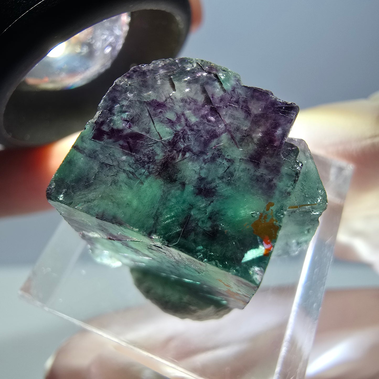 Phantom Fluorit Würfel Stufe, parkettiert grün lila Okorusu, Namibia 20*16*15mm