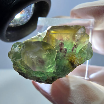 Phantom Fluorit Würfel Stufe, grün lila Okorusu, Namibia 31*24*11mm