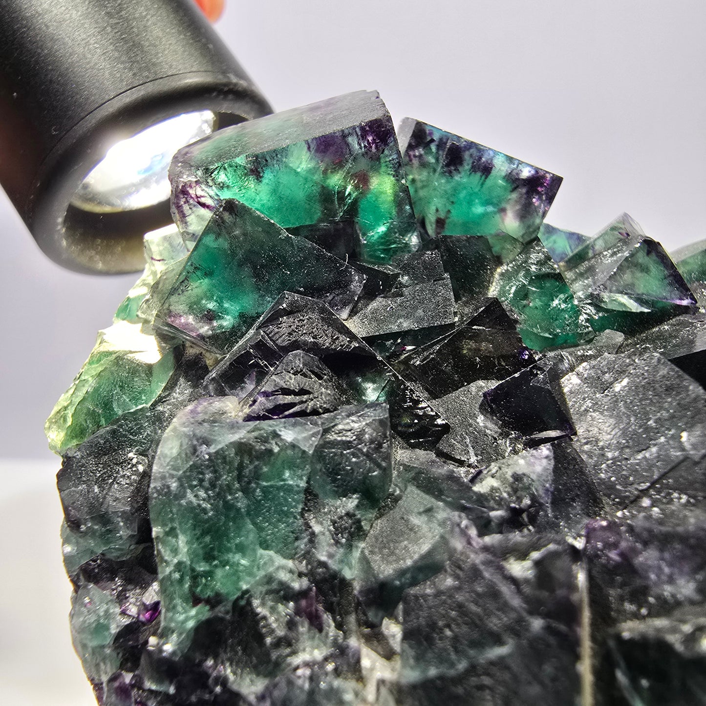 Grand spécimen de cube de fluorite fantôme, vert violet Okorusu Namibie 99*74*32mm 