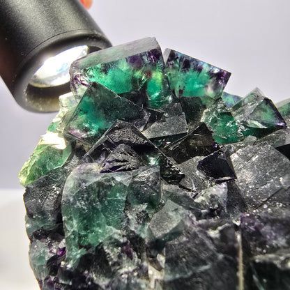 Grand spécimen de cube de fluorite fantôme, vert violet Okorusu Namibie 99*74*32mm 