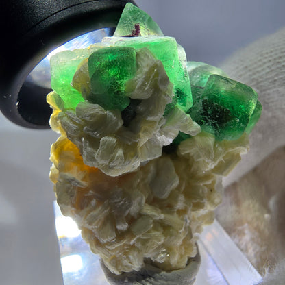 Cube de fluorite fantôme zonal, spécimen de muscovite, Erongo, Namibie, 38 x 30 x 19 mm 