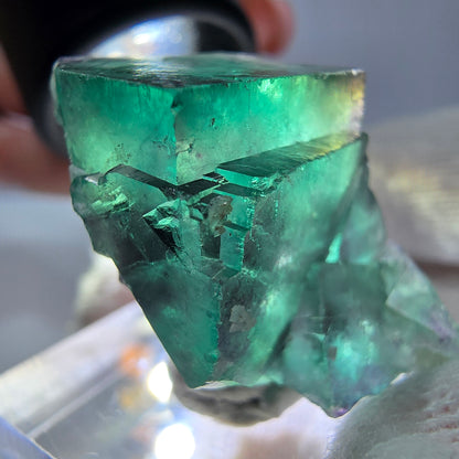 Spécimen zonal de cube de fluorite fantôme, vert violet, Okorusu, Namibie, 30 x 28 x 24 mm 