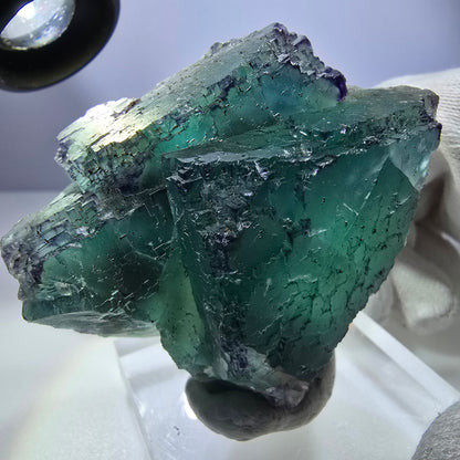 Spécimen de cube de fluorite fantôme parqueté zonal Okorusu, Namibie 65*53*28mm 