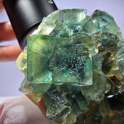 Spécimen de cube de fluorite fantôme parqueté vert violet Okorusu, Namibie 60*48*24mm 