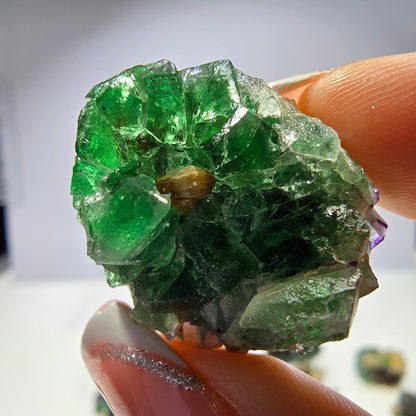 Lot de 16 fluorites fantômes, hyalites, tourmalines Schörl, muscovites, Erongo, Namibie