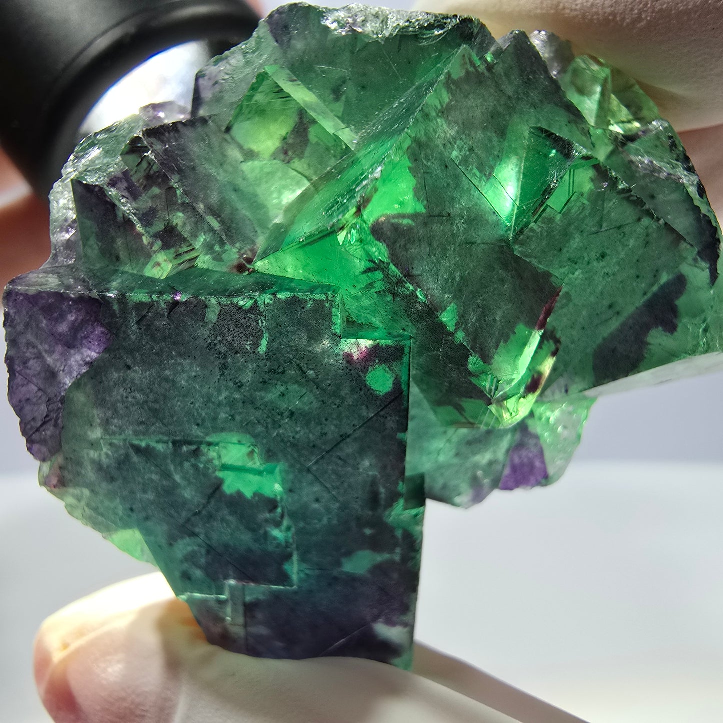 Spécimen de cube de fluorite fantôme parqueté vert violet Okorusu, Namibie 49*41*29mm 