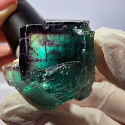 Spécimen de cube de fluorite fantôme, parqueté vert violet Okorusu, Namibie 41*41*25 mm 