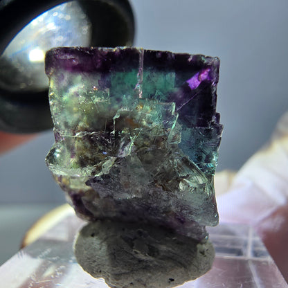Spécimen de cube de fluorite fantôme, parqueté vert violet Okorusu, Namibie 25*19*15 mm 