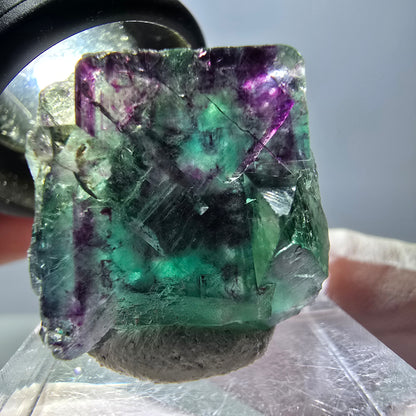 Spécimen de cube de fluorite fantôme, parqueté vert violet Okorusu, Namibie 22*22*18 mm 