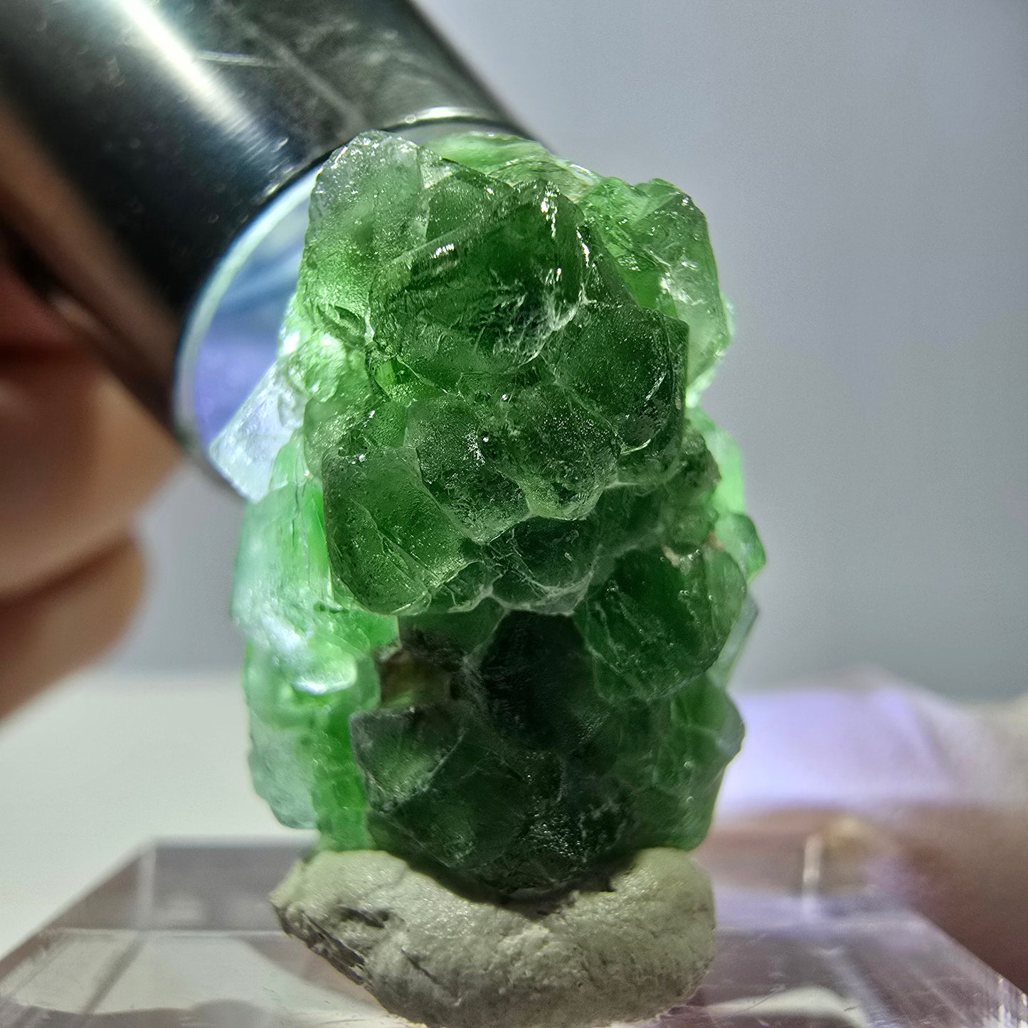 Cube de fluorite fantôme, spécimen de tourmaline Schorl, Erongo, Namibie, 22 x 16 x 16 mm 