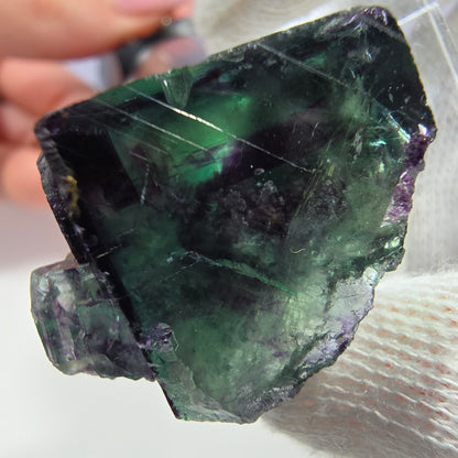 Rare spécimen de cube de fluorite fantôme, vert-violet zonal, Okorusu, Namibie, 29 x 25 x 19 mm 